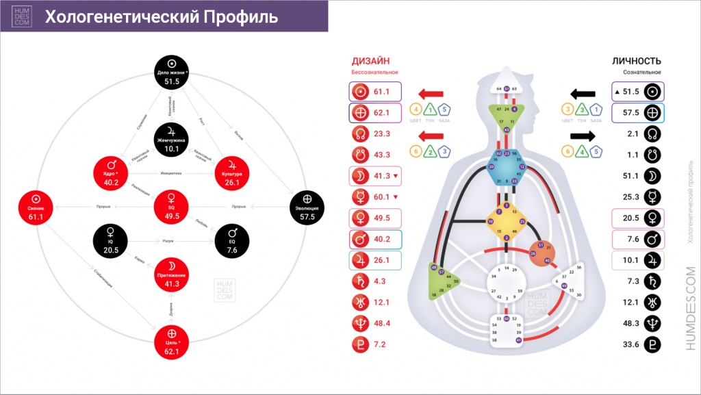 Хологенетический профиль