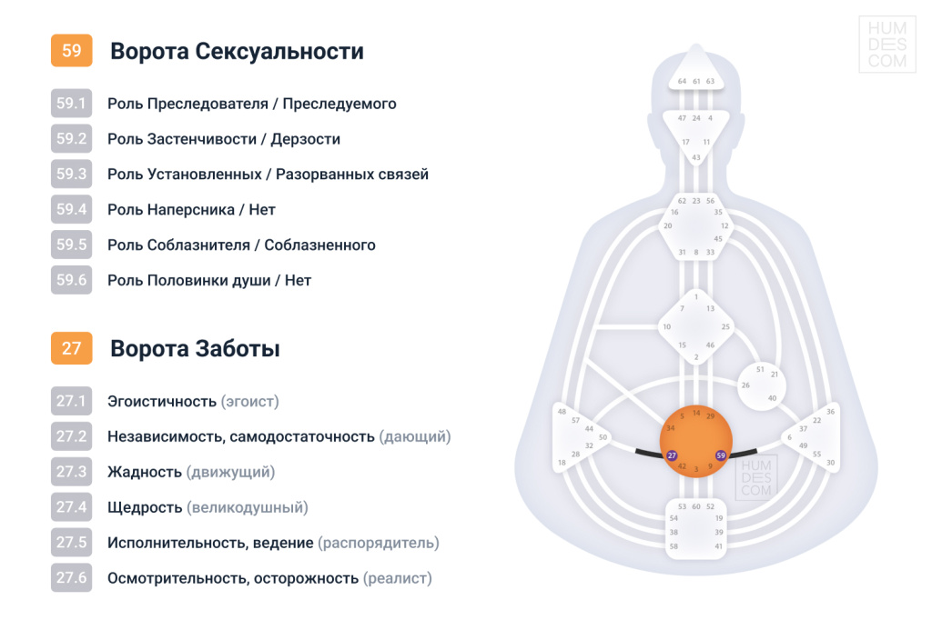 генетические роли сексуальности.jpg