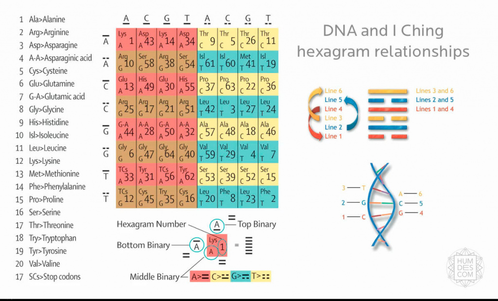 сходство между моделью генетического кода и структурой расположения гексаграмм И-Цзин