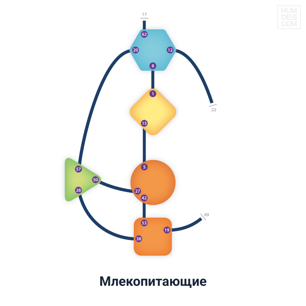 Млекопитающие