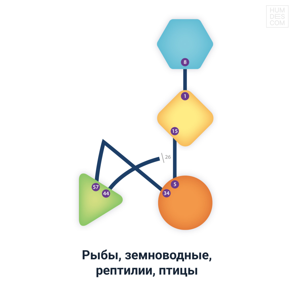 Рыбы, земноводные, рептилии, птицы