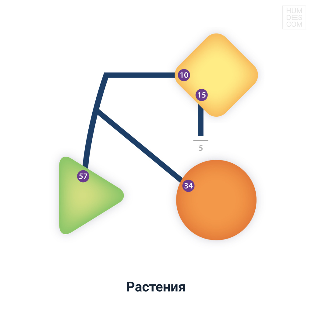 Растения