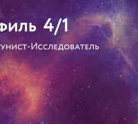 Профиль 4/1. Оппортунист-Исследователь