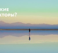 Кто такие Рефлекторы?