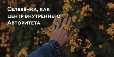 Селезёнка как Центр Внутреннего Авторитета