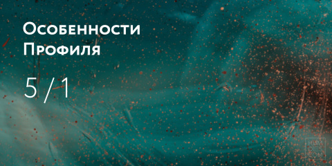 Особенности Профиля 5/1