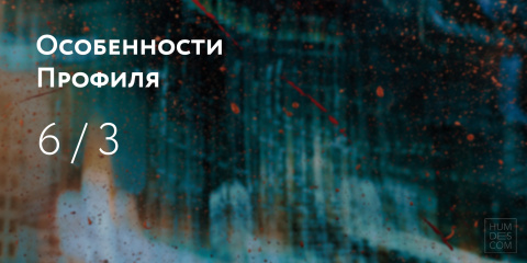 Особенности Профиля 6/3