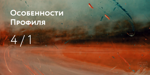 Особенности Профиля 4/1