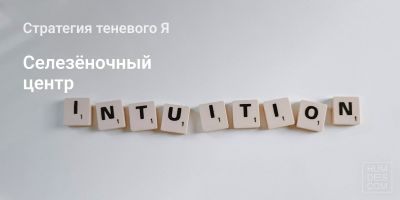 Стратегия теневого Я: Селезёночный центр