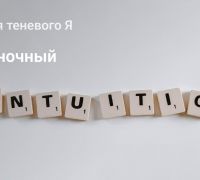 Стратегия теневого Я: Селезёночный центр