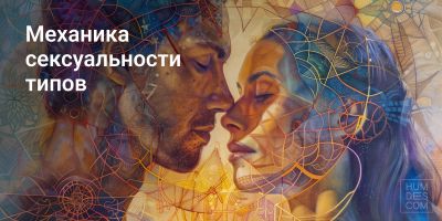 Механика сексуальности Типов