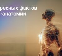 10 интересных фактов из Рейв-анатомии