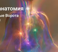 Первичные ворота действия